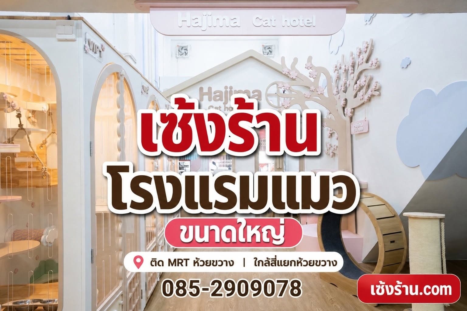เซ้งร้านโรงแรมแมว ขนาดใหญ่ ติด MRT ห้วยขวาง มีฐานลูกค้าประจำ ใกล้สี่แยกห้วยขวา